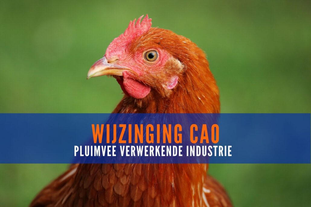 CAO pluimvee verwerkende industrie 2022