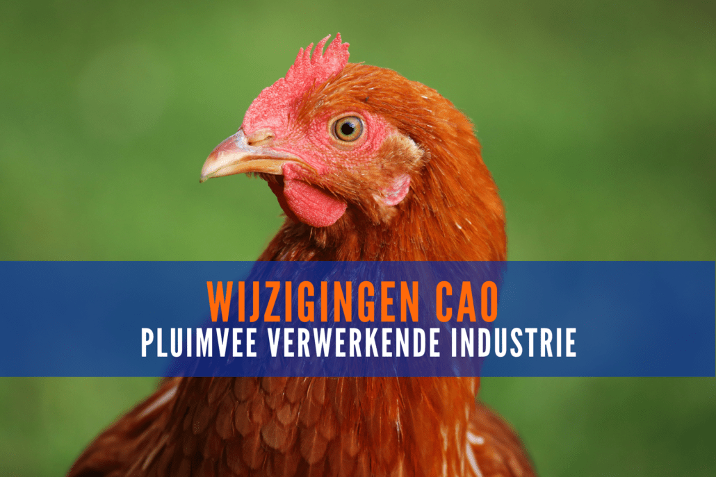 Wijzigingen cao Pluimvee verwerkende industrie
