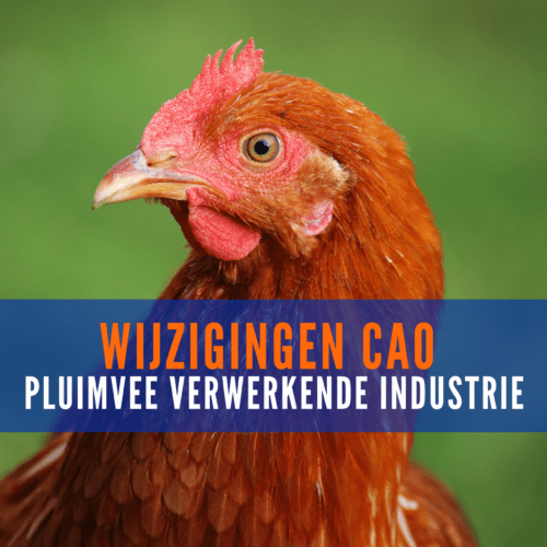 Wijzigingen cao Pluimvee verwerkende industrie